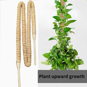 Support en fibre de coco pour plantes, pour jardin intérieur et extérieur, ensemble d'outils de jardinage, personnalisable OEM, pour la croissance verticale des plantes, <span class=keywords><strong>DIY</strong></span>, usage industriel - Product Image 3