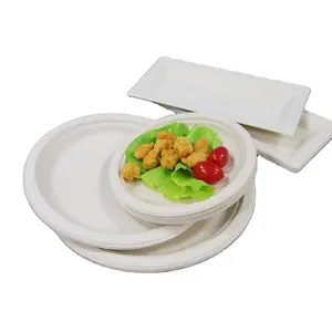 Kingwin Biodegradable Eco Friendly Takeaway Sugarcane Bagasse Food Plates Packaging Containers