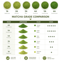Capsules de Matcha Latte Premium – Capsules de Thé Vert Crémeux – Capsules de Poudre de Matcha – Boissons de Thé Matcha Individuelles – OEM
