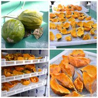 Warmtepomp Fruit Droger Machine Voor Abrikoos Mango Dehydrator Droger Perzik Tomaat Droogmachine