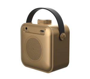 Amplificateur vocal pour personnes âgées, amplificateur domestique sans fil, entrée fibre optique TV, sortie 5W, plastique - Product Image 6