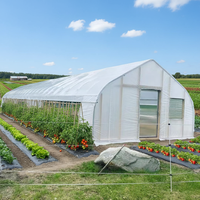 Fabriek produceert eenvoudige gebogen kassen voor groenten, fruit en bloemen, geschikt voor lente- en herfstteelt.