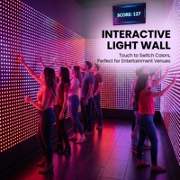 Jeu mural interactif d'intérieur avec capteurs activés par des matériaux en acier plastique et en fibre de verre pour parcs d'attractions commerciaux
