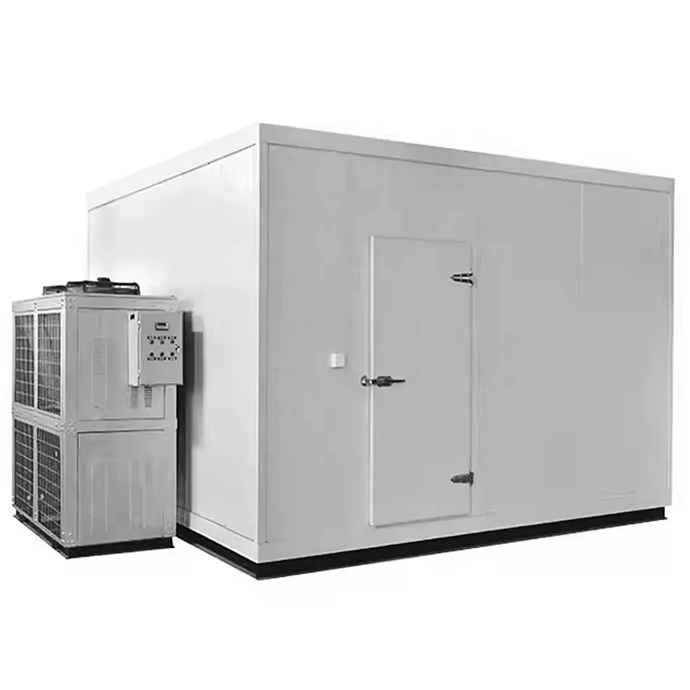 Commercial Blast Freezer Container Provided mini Cold Storage Cool Room 50 Tons cold storage panel