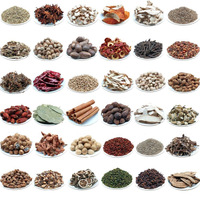 Noix de muscade crue séchée en gros et autres épices 250g/pièce Origine Guangxi pour la cuisine