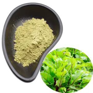 Epinbio provides pure fresh 80-200 mesh beet leaf juice powder