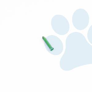 Implante Quirúrgico Veterinario Ortopédico con Tornillo de Bloqueo AO de 1.6mm, 2.4mm, 3.2mm, 4.0mm para Procedimientos de Fijación Ósea en Animales - Product Image 2