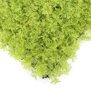 Paneles de setos de boj artificiales-Seto de pared de privacidad y muro de cobertura artificial, ideal <span class=keywords><strong>para</strong></span> jardín y recinto de propiedad - Product Image 4