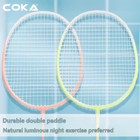 Ensemble de raquettes de badminton en alliage d'acier qui brillent dans le noir, double pack, tête isométrique légère, cadre monobloc pour l'entraînement des débutants