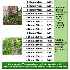Cage de Support de cour d'usine chinoise <span class=keywords><strong>pour</strong></span> attelle de fruits en plastique en pot bâtons de <span class=keywords><strong>plantes</strong></span> vertes robustes Support de fleur de jardin Support de plante - Product Image 5