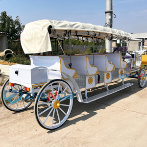 White Electric Sightseeing Horseless Carriage Luxury Fashion for Parks Attractions Xuchang China China Xuchang Zhenda Machinery - Product Image 4