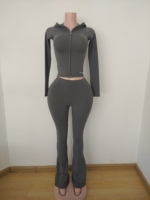 Vêtements pour femmes Veste à capuche 2 pièces avec fermeture éclair Pantalon évasé Gym Fitness Sets Custom Logo Tall Girl Friendly Outfit Tracksuit Set