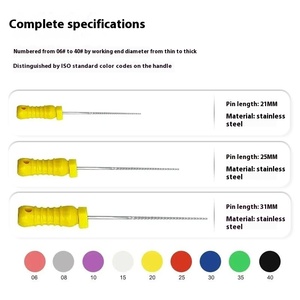 Instruments endodontiques manuels en acier inoxydable de 21 mm, 25 mm, 31 mm, certifiés CE, consommables dentaires, outils dentaires, odontologie - Product Image 4
