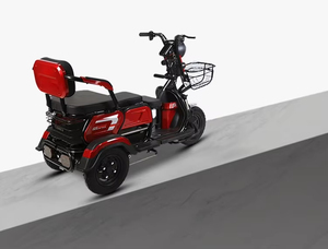 จักรยานสกู๊ตเตอร์ไฟฟ้า3ล้อ800W 72V รถสามล้อบรรทุกผู้โดยสารแบบเปิดความเร็วต่ำสำหรับผู้ใหญ่ - Product Image 5