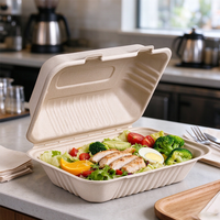 Boîte à emporter compostable en bagasse, type clamshell, à compartiment unique, jetable, pour salades, pâtes, restauration rapide et services de traiteur