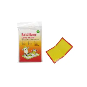Factory Provide Household Non-Toxic Adhesive Crawling Rodent Control Sticky Foldable Paper Card Board <strong>Mice</strong> Rat <strong>Mouse</strong> <strong>Glue</strong> <strong>Trap</strong> - Product Image 1
