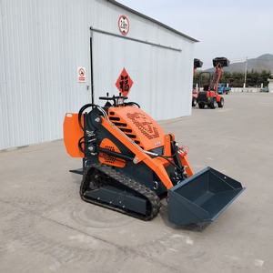 Chargeuse compacte de haute qualité fournie par la Chine, capacité de 380 kg, livraison gratuite - Product Image 5