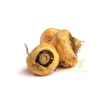 Extracto de Fruta Atomizado en Polvo, Orgánico, Grado Alimenticio, Disponible para Compra al por Mayor