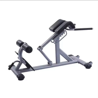 Équipement d'exercice de gymnastique commerciale Machine de fitness avec plaques de poids comprend banc d'extension arrière et chaise romaine