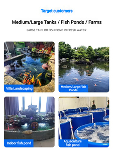 TOGAWA Ecologisch Diatomeeënaarde Biochemisch Filtermateriaal Cultuurbal voor Zoetwateraquaria en Gebruik in de Woonkamer - Product Image 4