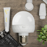Ampoule LED intelligente rechargeable RUEA RD-01 avec télécommande, température de couleur réglable, intensité variable, culot PC E27, mobile, pour situations d'urgence