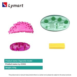 Modelo de orgánulos: Mitochondria, Cloroplasto, <span class=keywords><strong>Golgi</strong></span>, Centrosoma - Product Image 3