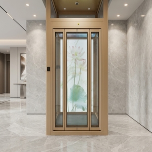 Ascensore Moderno <span class=keywords><strong>per</strong></span> Villa con Porta Elettrica <span class=keywords><strong>a</strong></span> Doppia Anta e Struttura in Metallo <span class=keywords><strong>per</strong></span> Appartamenti, Ville e Magazzini - Product Image 3
