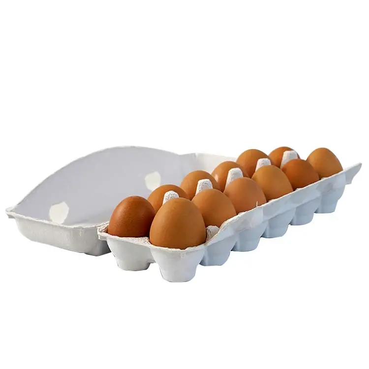 닭 계란 포장을위한 공장 직접 일회용 생분해성 하이 퀄리티 12 구획 계란 상자