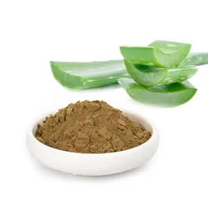 Extracto de hoja de planta de alta calidad, 95% de extracto de Aloe Vera en polvo, el mejor precio