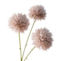 Künstliche Ping Pong Chrysanthemen Seidenblumen für Schulanfang, Chinesisches Neujahr, Hochzeit, Heimdekoration, Handgefertigt und Umweltfreundlich
