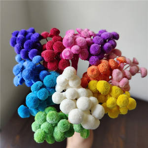 Arrangements floraux DYI <span class=keywords><strong>de</strong></span> fleurs séchées colorées rouge cerise avec une forme unique comme une fleur <span class=keywords><strong>de</strong></span> bouton 20 pièces/bouquet - Product Image 2