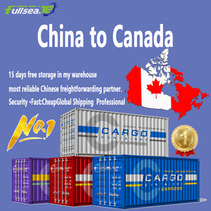 Agente di Spedizione Marittima DDU/DDP Più Economico dalla Cina al <span class=keywords><strong>Canada</strong></span>/USA/CA/DE/Spagna Servizio di Trasporto Merci - Product Image 5