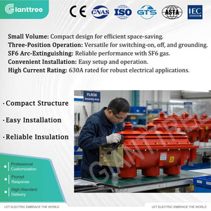 <span class=keywords><strong>Interruptor</strong></span> de Corte de Carga <span class=keywords><strong>SF6</strong></span> GIANTTREE FLRN-36 con Operación Manual/Eléctrica Opcional para Equipos de Conexión Eléctrica Interiores Completos - Product Image 1