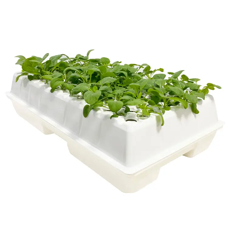 Factory Direct Supply Hydrocultuur Aeroponic Planten Klonen Wit Groeien Trays 128 Klonen Systeem