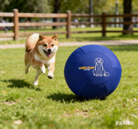 Funda de Nailon Balístico 1680D 2520D para Perros y Caballos, Lavable, Resistente a Desgarros, con Cierres Dobles Impermeables YKK, Tamaño Personalizado