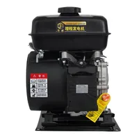 Générateur CC miniature 48V 60V 72V à faible consommation de carburant, unité d'alimentation CC montée, générateur de puissance à longue autonomie