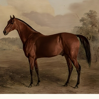 Décoration Murale Cheval Encadré Or Vintage, Cadre Métallique, Tableau Classique, Impressions sur Toile, Style Rustique Ferme Antique pour la Maison