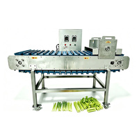 RVS vissegmenten snijmachine voor verse en diepvriesvis, uniforme snijmachine