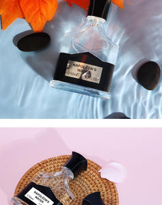 Eau de parfum populaire copie de luxe pour femmes parfum longue durée parfum EDP EDT - Product Image 6