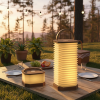 Nouvelle Lampe LED Pliante Tendance 2026, Lampe Verticale Accordion, Lumière Blanche Chaude pour Lecture, Chambre et Bureau, Alimentation par Batterie, Offre Spéciale