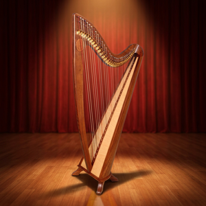 34 cordes dos rond harpe palissandre - Product Image 3