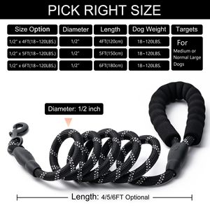 Laisse pour chien en nylon réfléchissant épaisse et résistante, laisse pour chien en corde d'escalade tressée avec une forte force de traction, réglable - Product Image 4