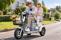 Tricycle électrique motorisé 48V 500W, scooter électrique à 3 roues, 2 places, panier de rangement, autonomie 30-50 km, carrosserie ouverte, adulte, personne âgée