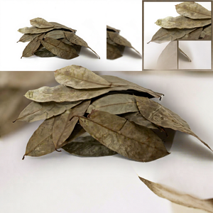 Dried Soursop Leaves Fermented Broken <b>Tea</b> Brew Hot Water Organic Health <b>Tea</b> Non Sugar 50gr <b>Box</b> Packaging EXPAD CO Grade a - Product Image 1