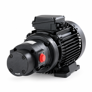 Bomba Gerotor QPM3 de Baja Presión para Sistemas Industriales de Circulación y Refrigeración de Aceite - Product Image 1