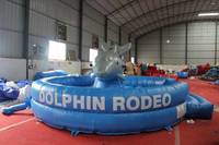 Ensemble de jeux sportifs gonflables WINSUN Dolphin pour enfants et adultes - Matériel PVC certifié CE, capacité de 200 kg, ignifuge, imperméable, personnalisable