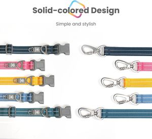 Juego de collar y correa para perro personalizado Pawaii, reflectante, ajustable para perros pequeños - Product Image 6