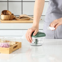 Hete Aanbieding Vierkante Handmatige Voedselhakker van RVS, Handbediende Knoflookpers, Groentehakker