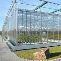 Serre en verre trempé avec système hydroponique - Contrôle climatique automatisé pour la culture commerciale de légumes