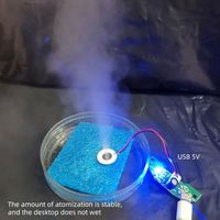 DC5V USB 16MM 1.5-2W brumisateur à ultrasons Module de feuille d'atomisation Module d'humidificateur d'atomisation à ultrasons USB
